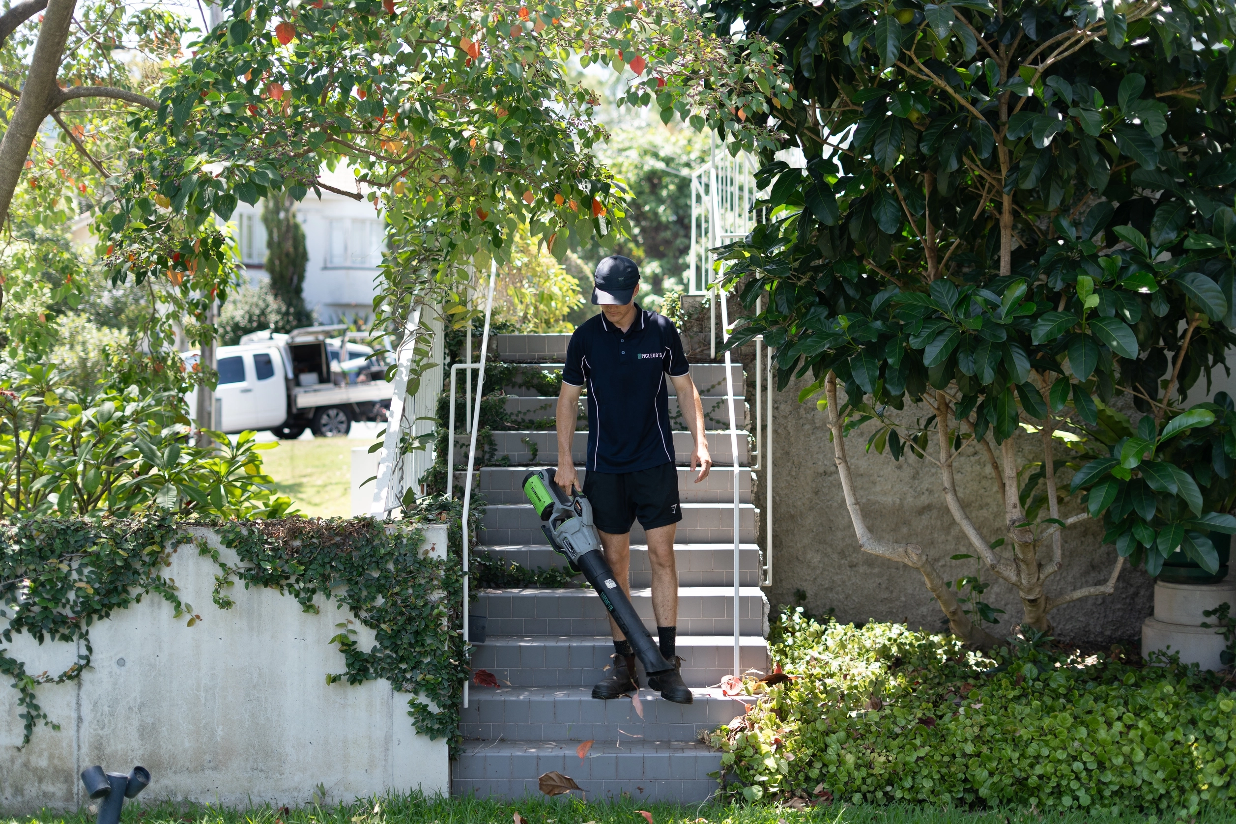 Hedge shaping &mdash; McLeod's Property Maintenance